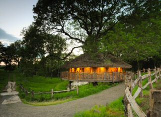 Treeopia, unique luxury accommodation high in the trees in heavenly hideaway