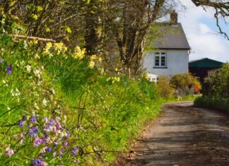 Broad Close Farm, Devon