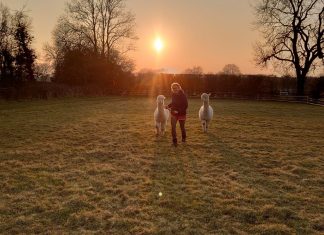 Barlefield Glamping, your exclusive glampsite