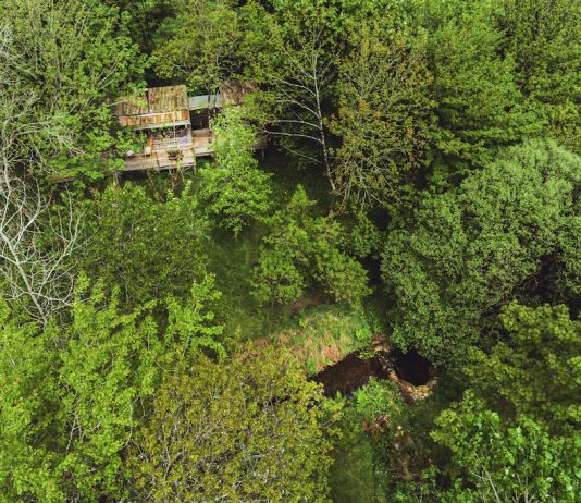 Free your wild side in Cornish nature haven
