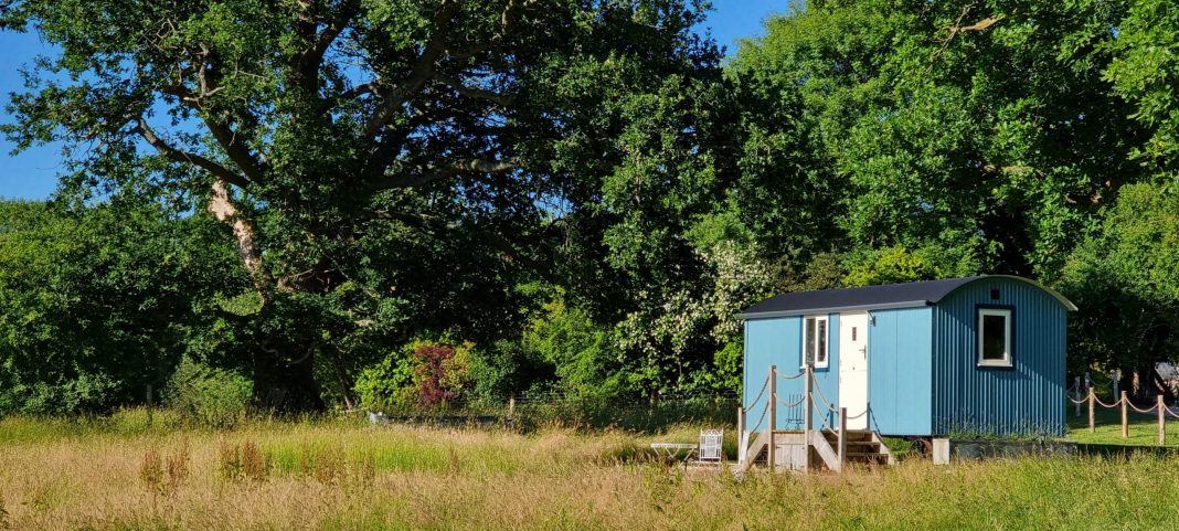 Shepherds-Hut_Landscape_08_Summer_Oak-scaled