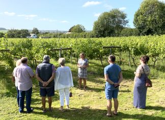 Tours and tastings all year round at award winning local vineyard
