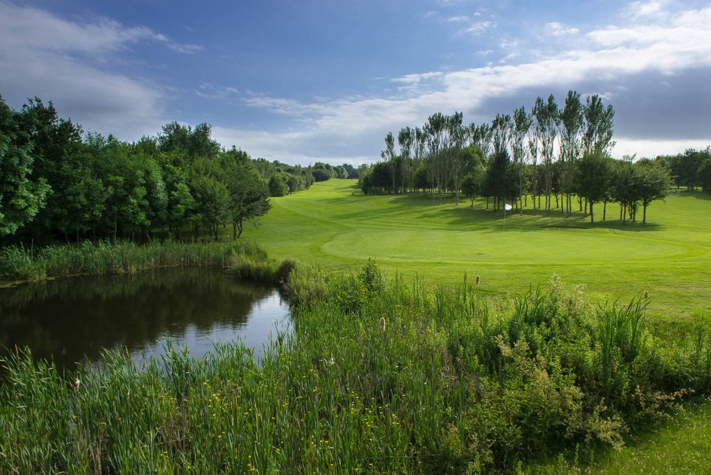 Stratford Park Hotel & Golf Club, doggy afternoon tea, golf