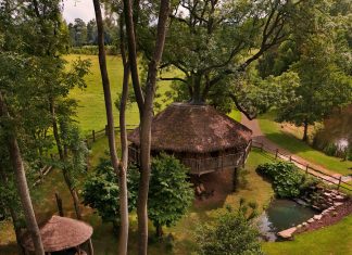 Treeopia, A Sanctuary in the Canopy