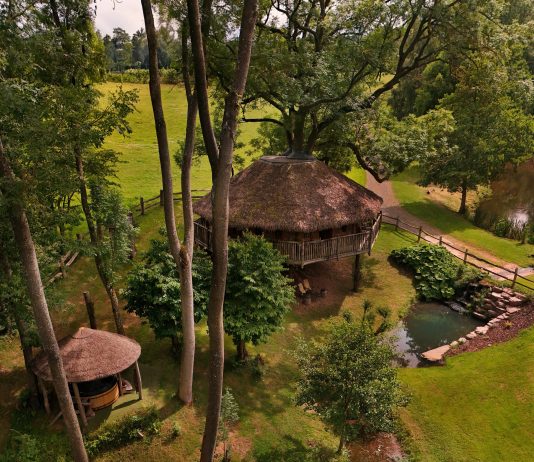 Treeopia, A Sanctuary in the Canopy